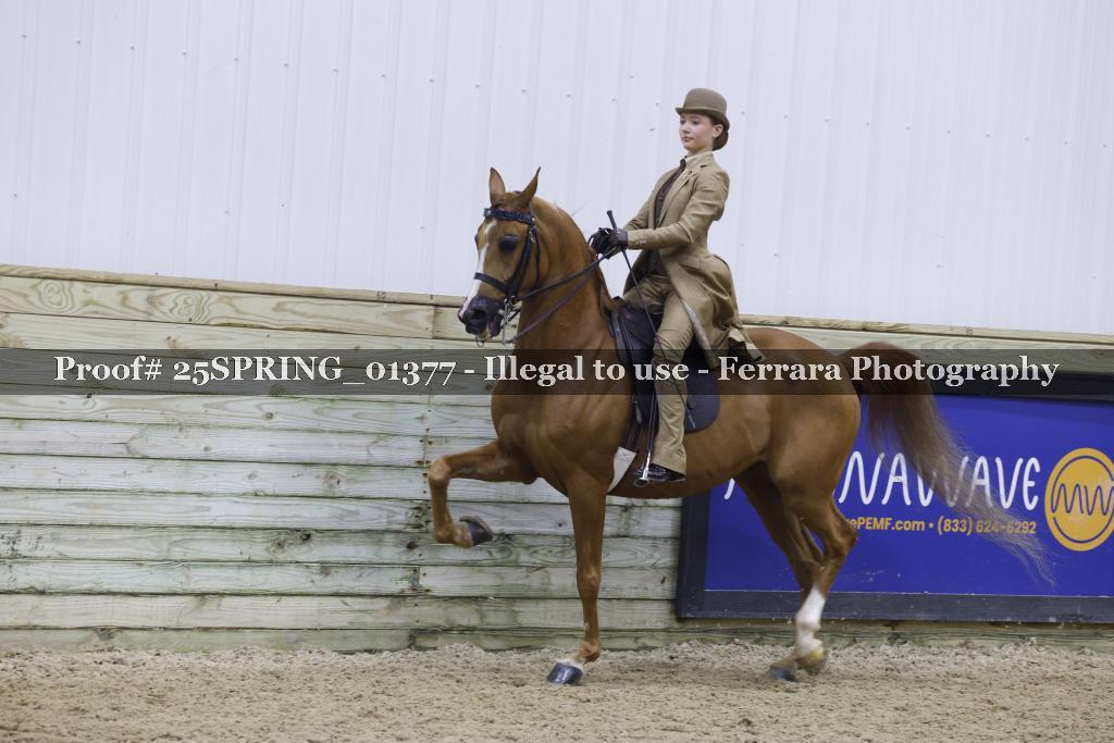 Proof 25SPRING_01377