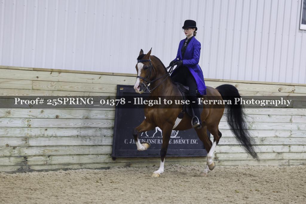 Proof 25SPRING_01378
