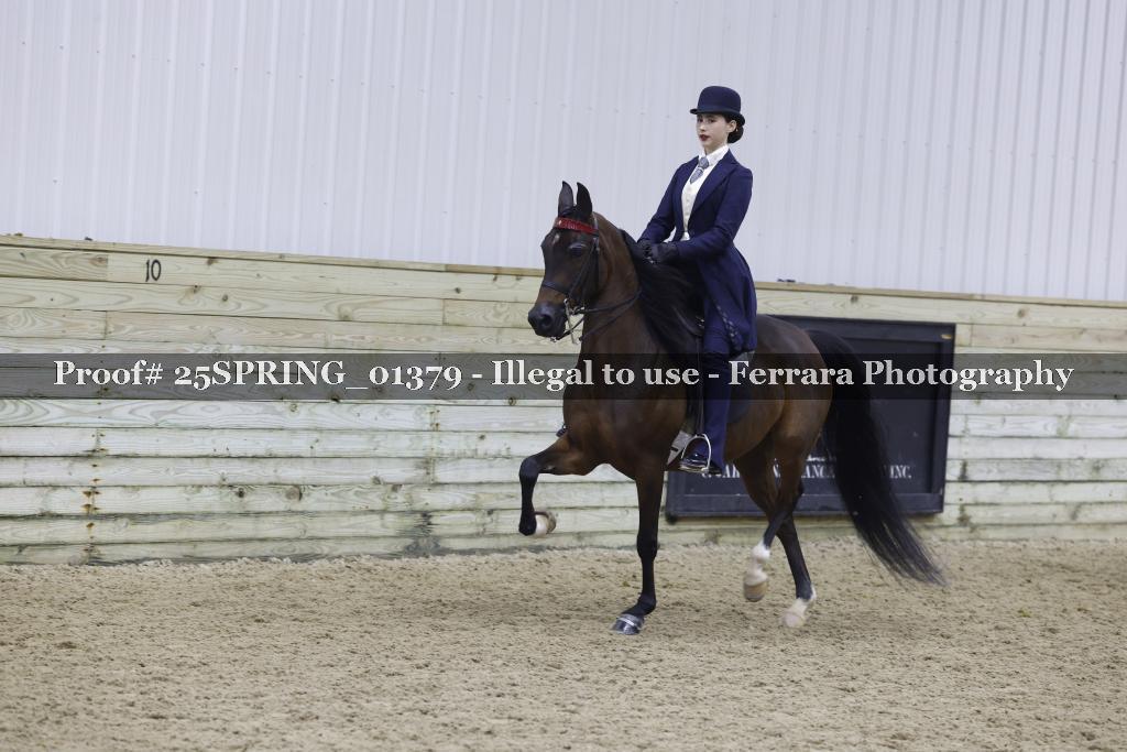 Proof 25SPRING_01379