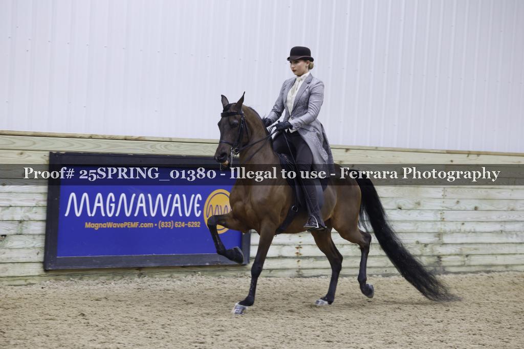 Proof 25SPRING_01380