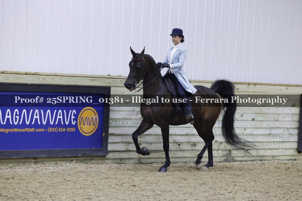 Proof 25SPRING_01381