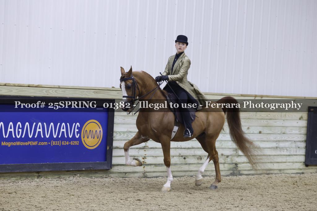 Proof 25SPRING_01382