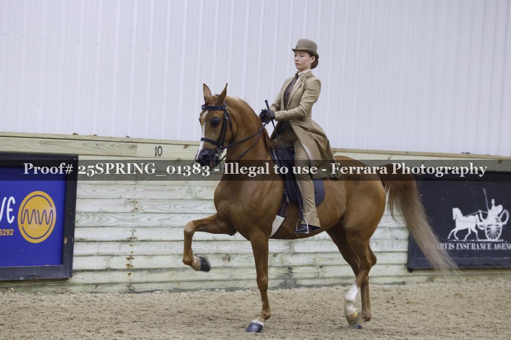Proof 25SPRING_01383