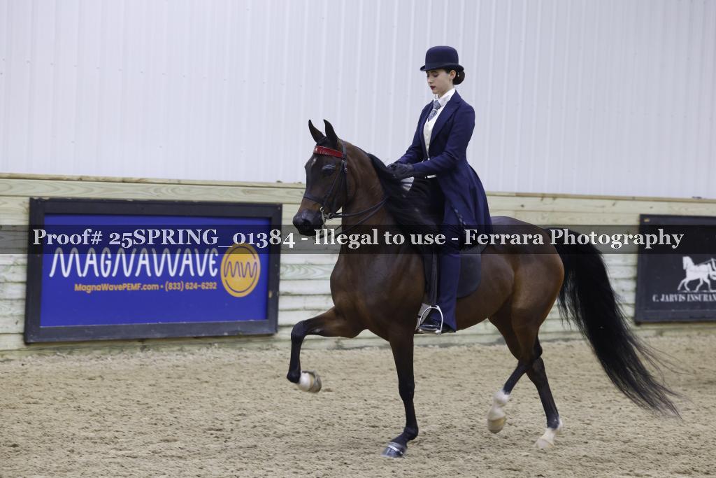 Proof 25SPRING_01384