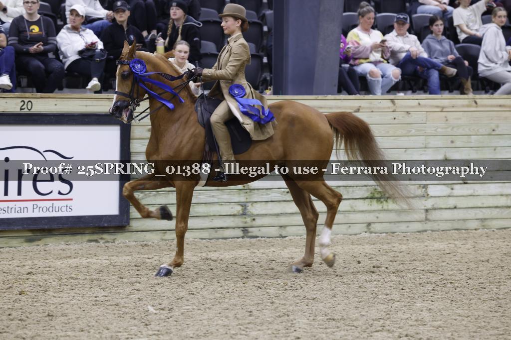 Proof 25SPRING_01388