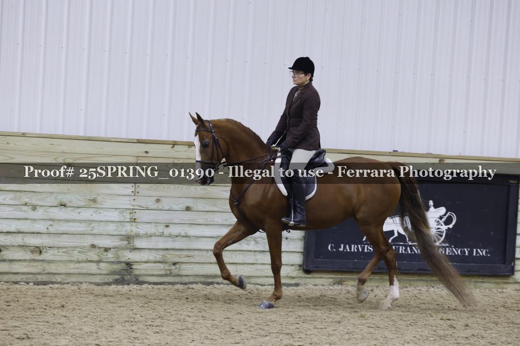 Proof 25SPRING_01390