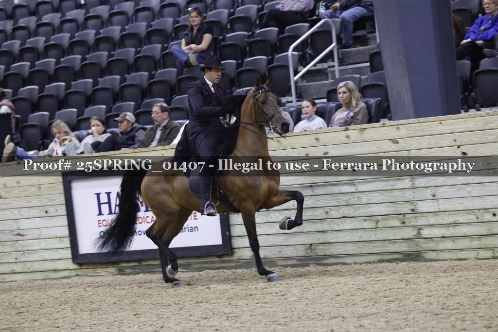 Proof 25SPRING_01407