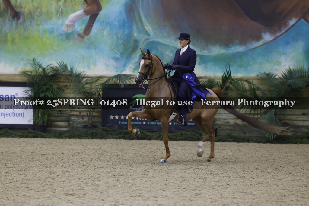 Proof 25SPRING_01408