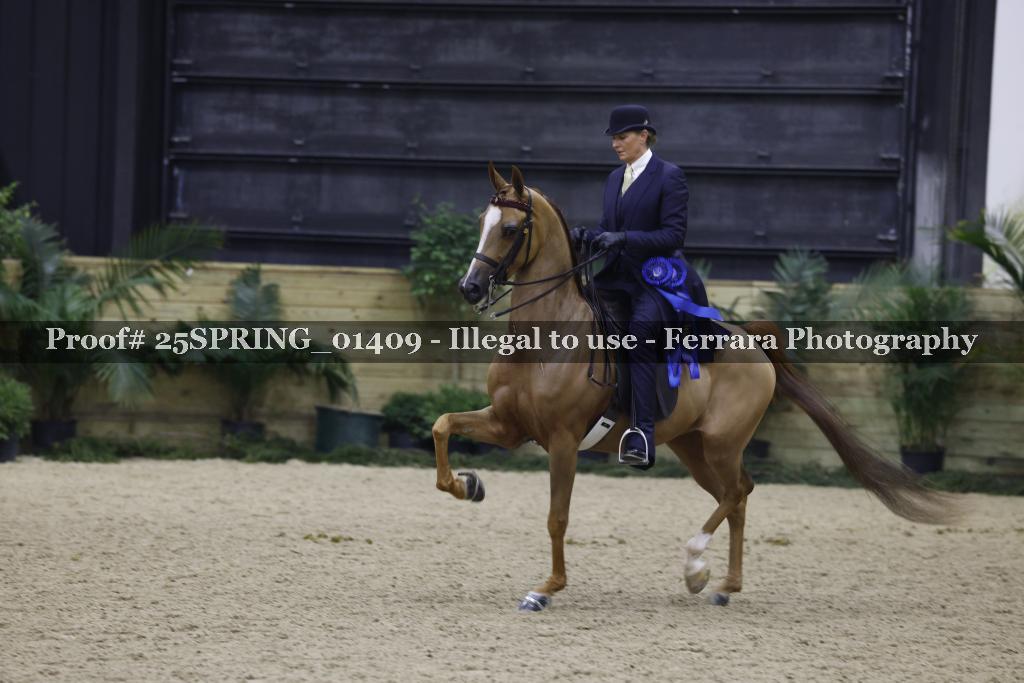 Proof 25SPRING_01409