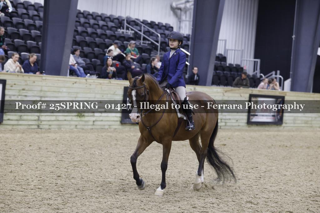 Proof 25SPRING_01427