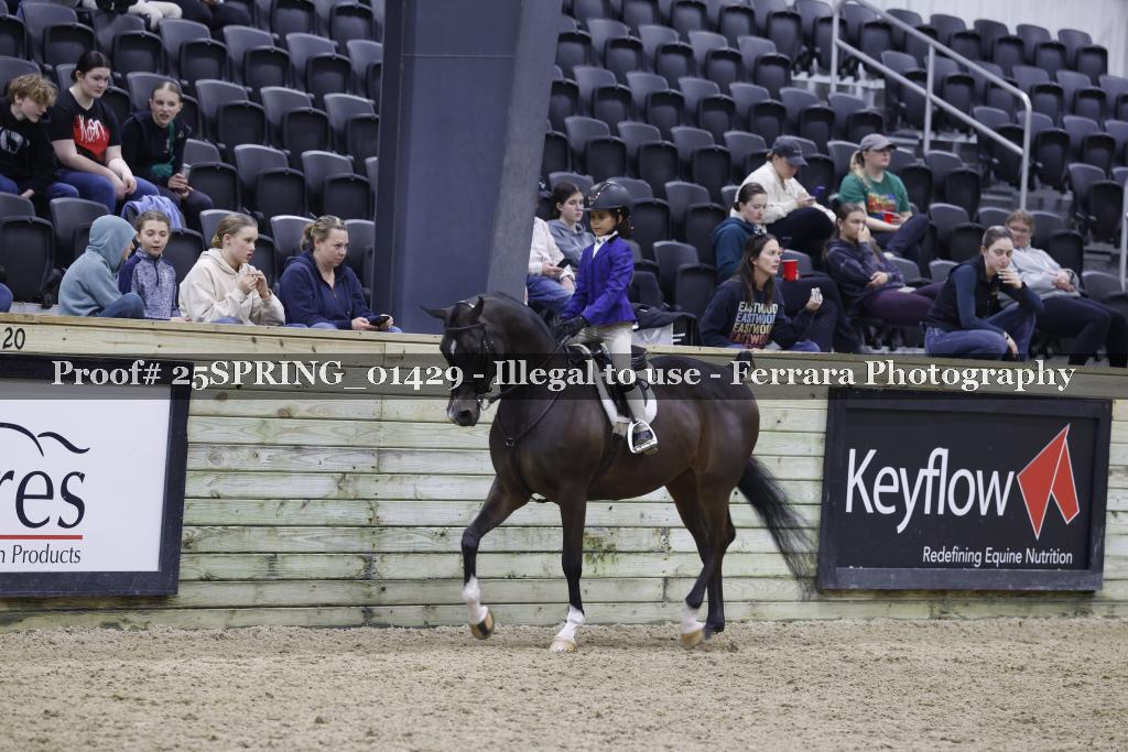 Proof 25SPRING_01429