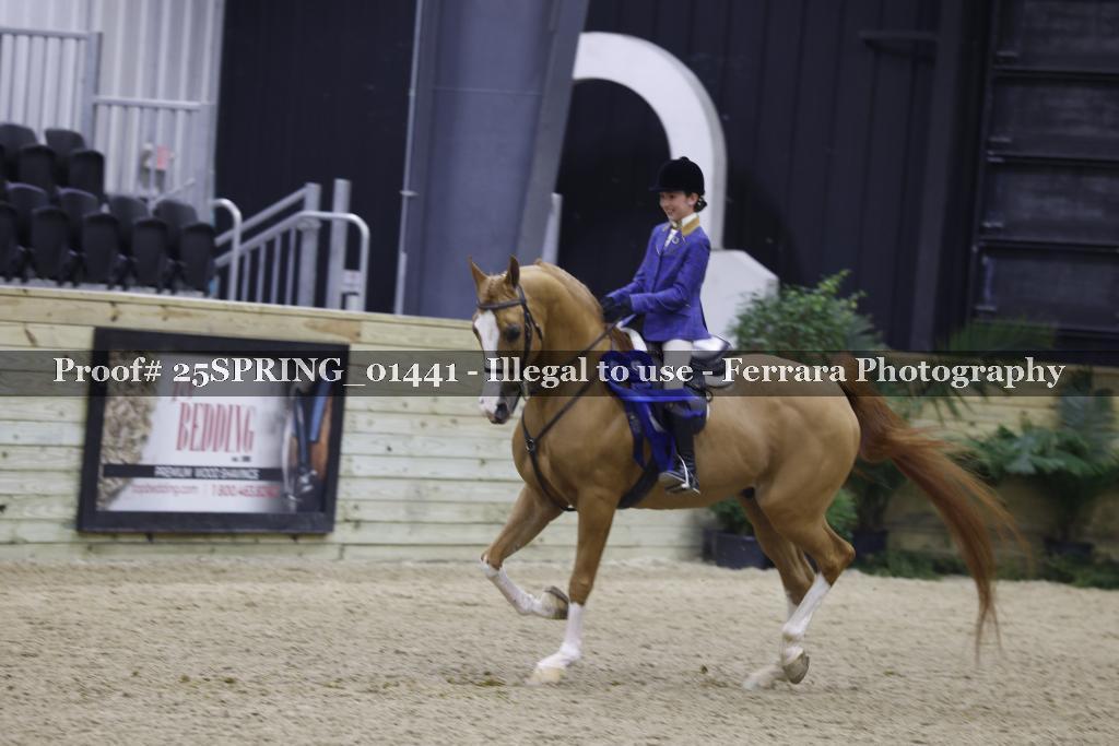 Proof 25SPRING_01441