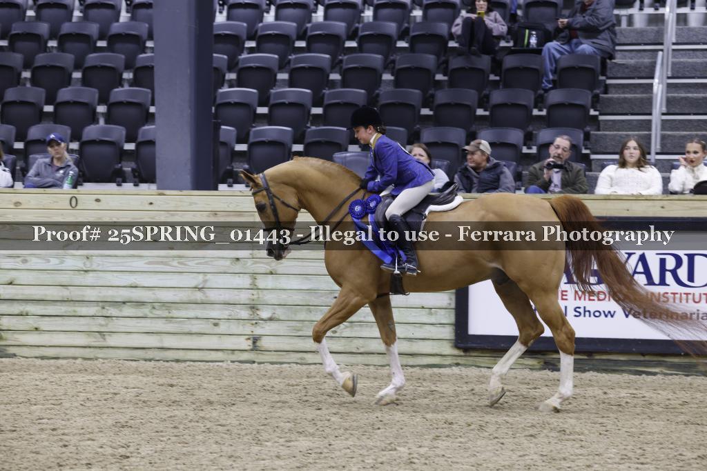 Proof 25SPRING_01443