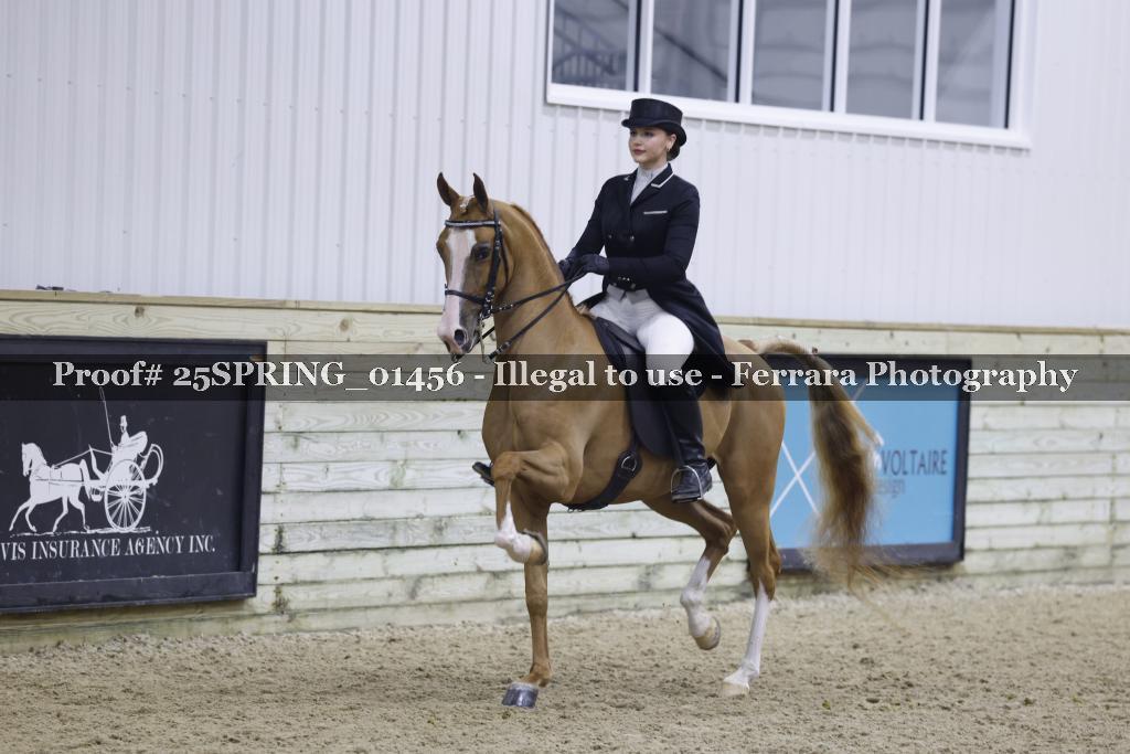 Proof 25SPRING_01456