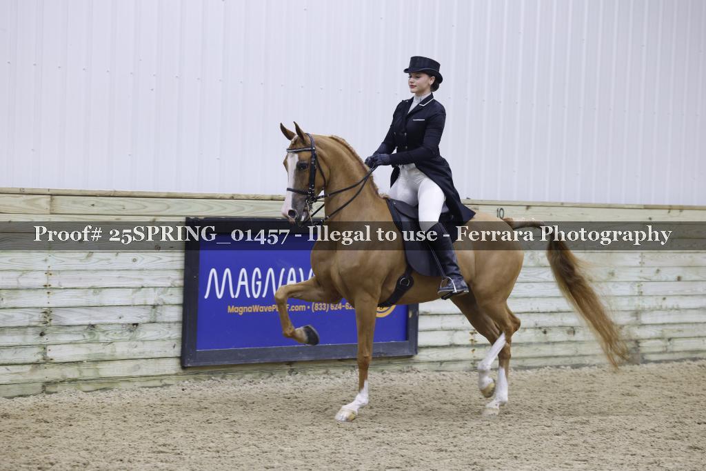 Proof 25SPRING_01457