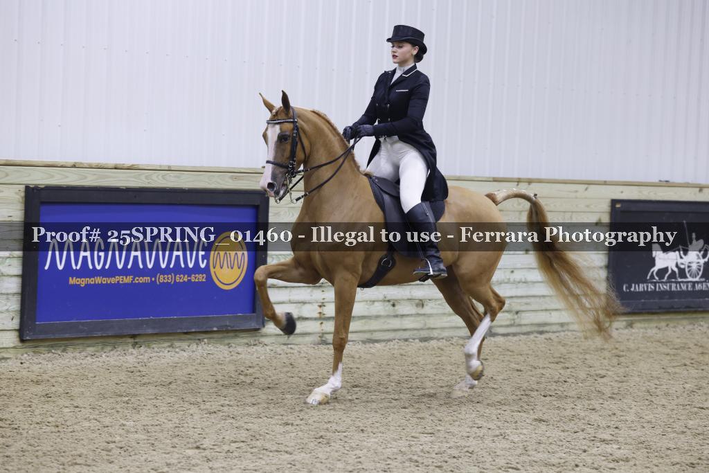 Proof 25SPRING_01460