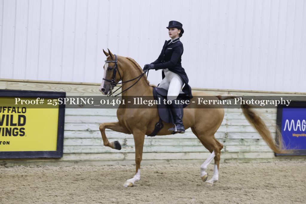 Proof 25SPRING_01461