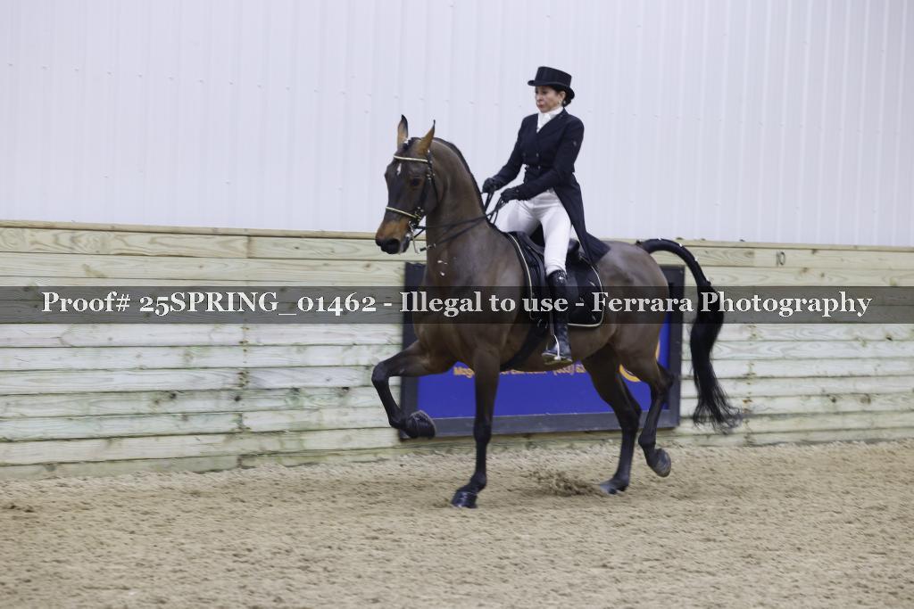 Proof 25SPRING_01462