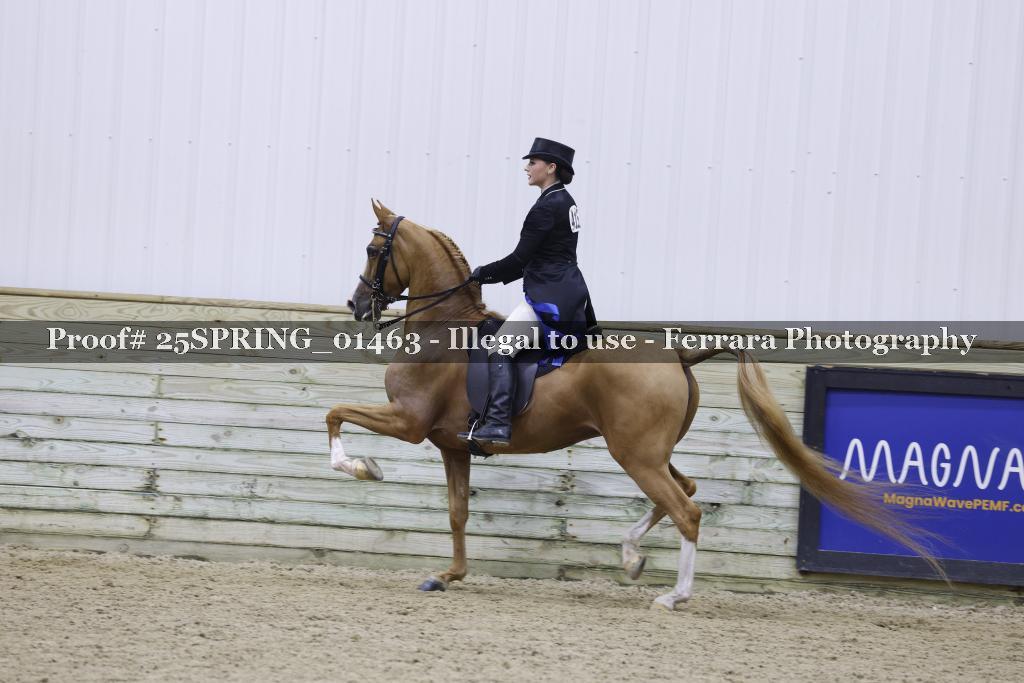 Proof 25SPRING_01463