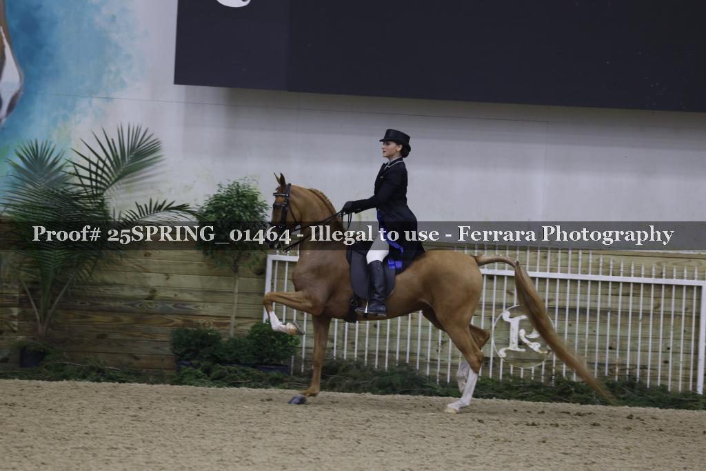 Proof 25SPRING_01464