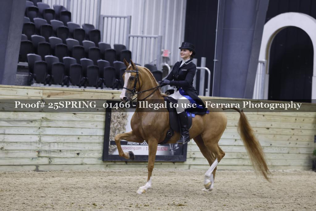 Proof 25SPRING_01466