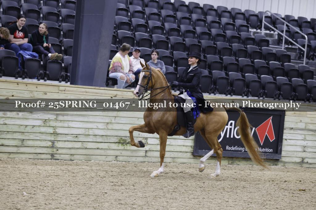 Proof 25SPRING_01467