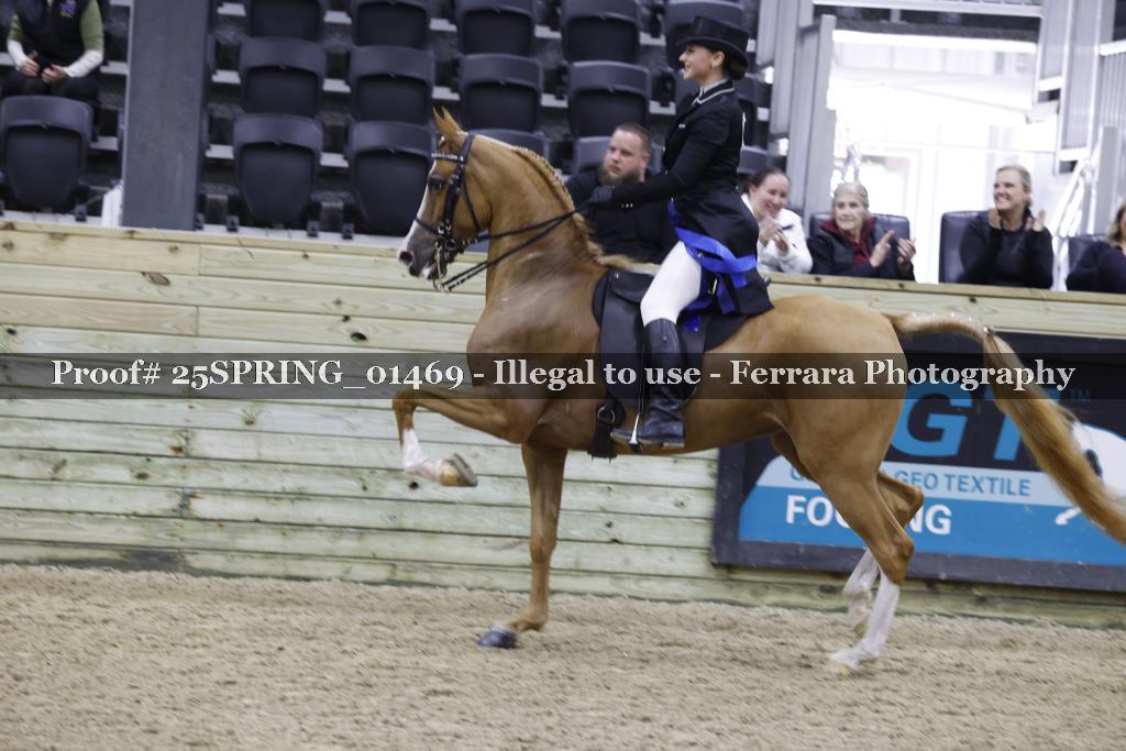 Proof 25SPRING_01469