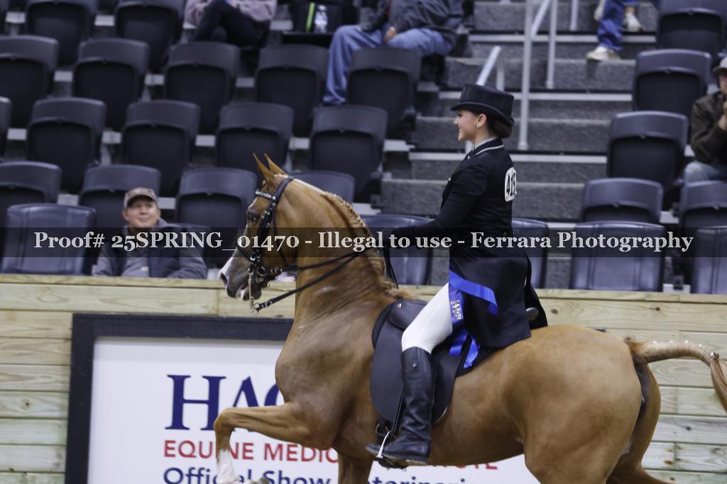 Proof 25SPRING_01470