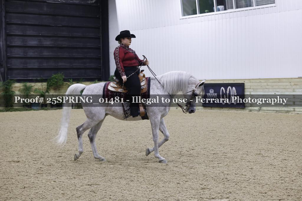 Proof 25SPRING_01481