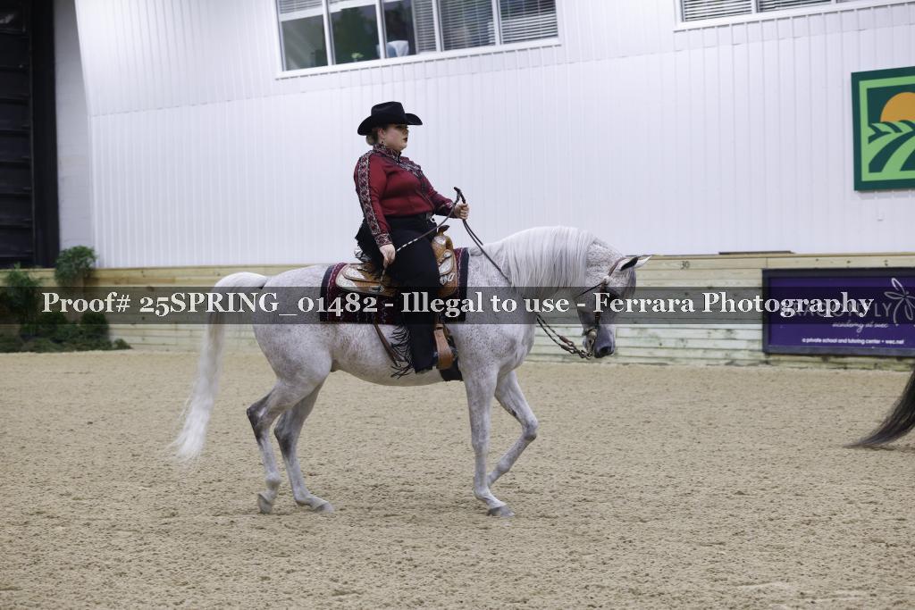 Proof 25SPRING_01482