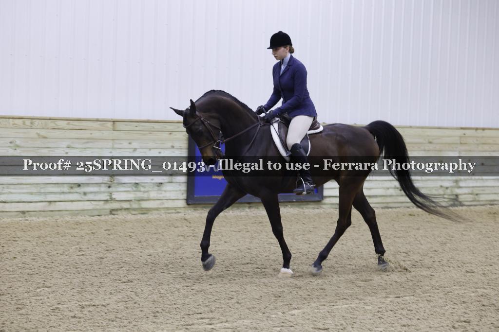Proof 25SPRING_01493