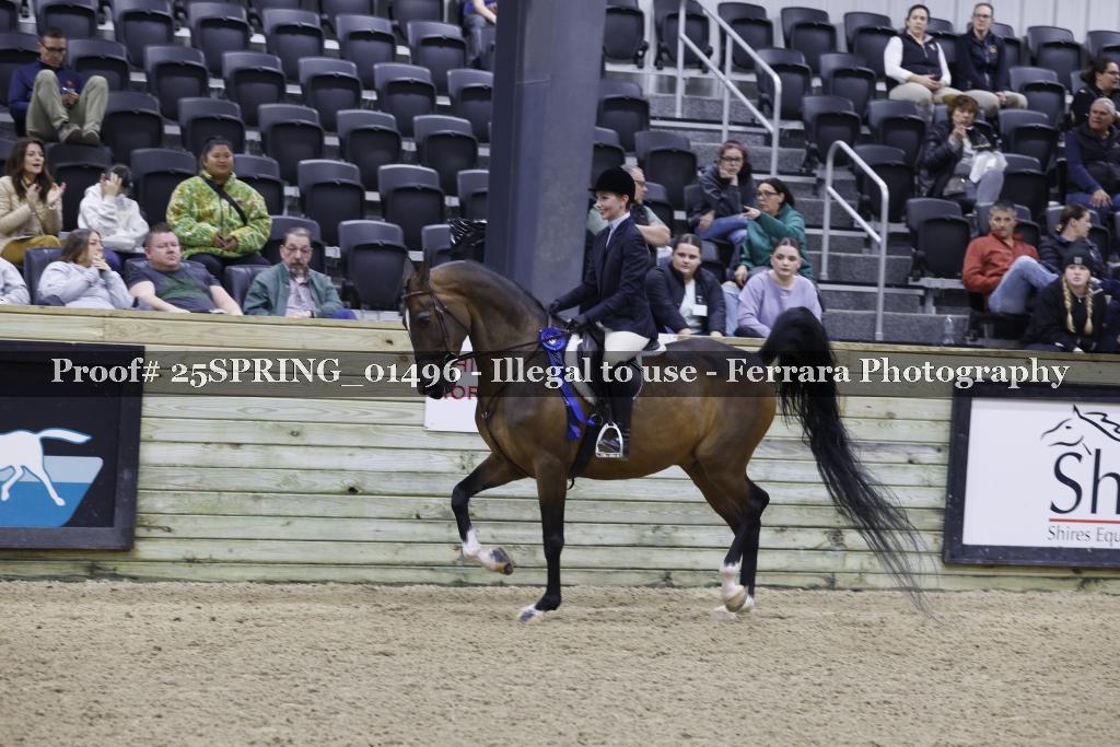 Proof 25SPRING_01496