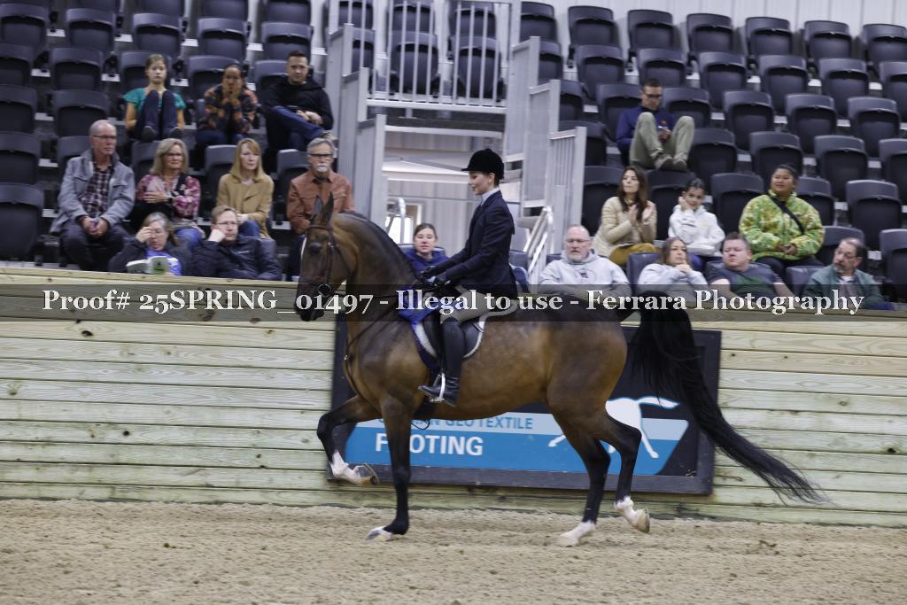 Proof 25SPRING_01497