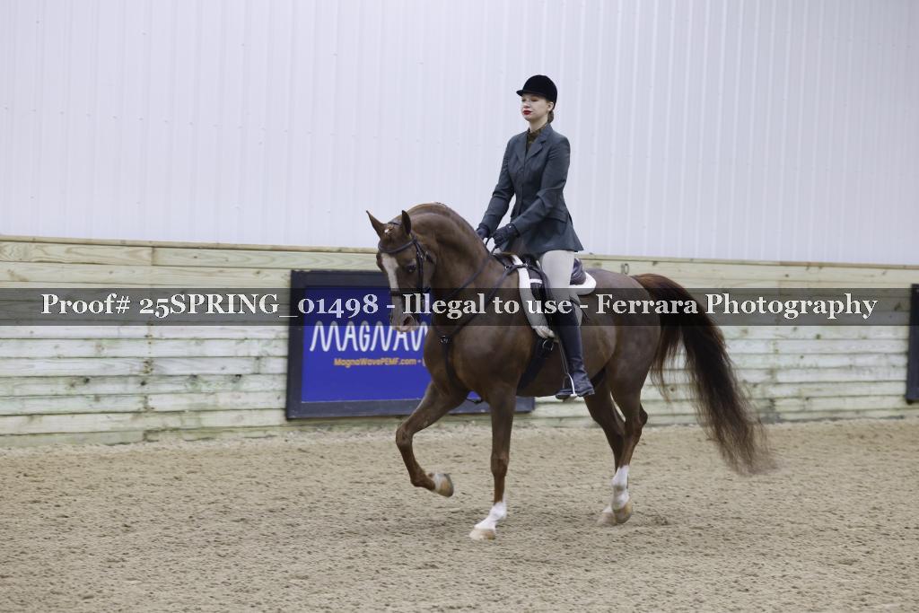 Proof 25SPRING_01498
