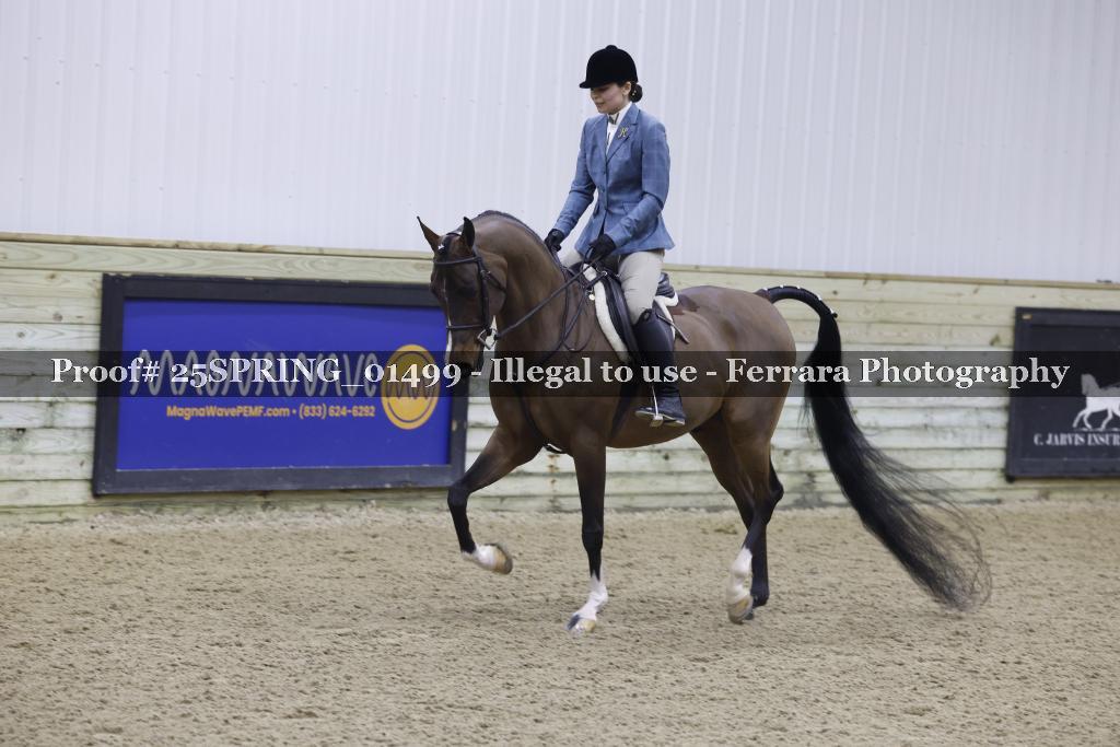 Proof 25SPRING_01499