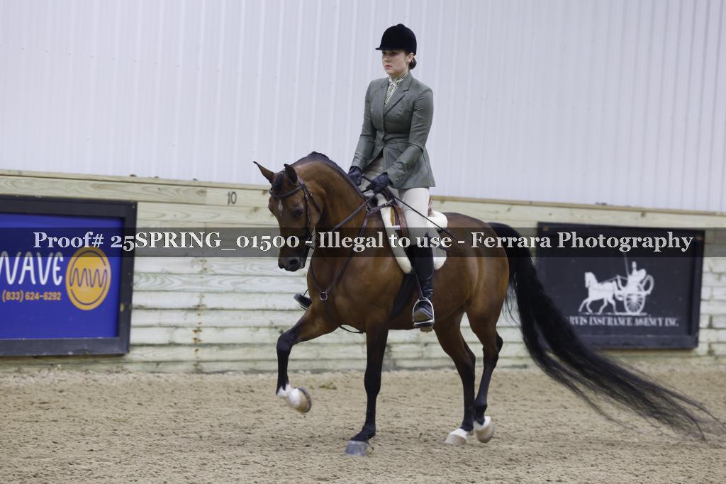 Proof 25SPRING_01500