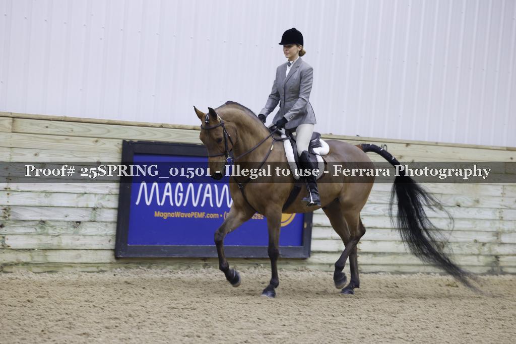 Proof 25SPRING_01501