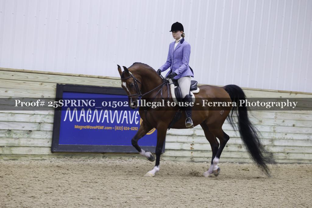 Proof 25SPRING_01502