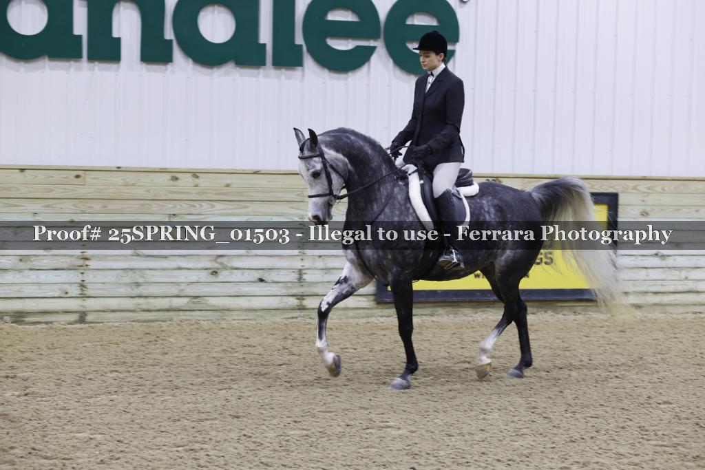 Proof 25SPRING_01503