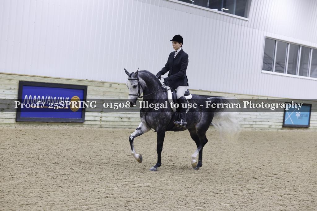 Proof 25SPRING_01508