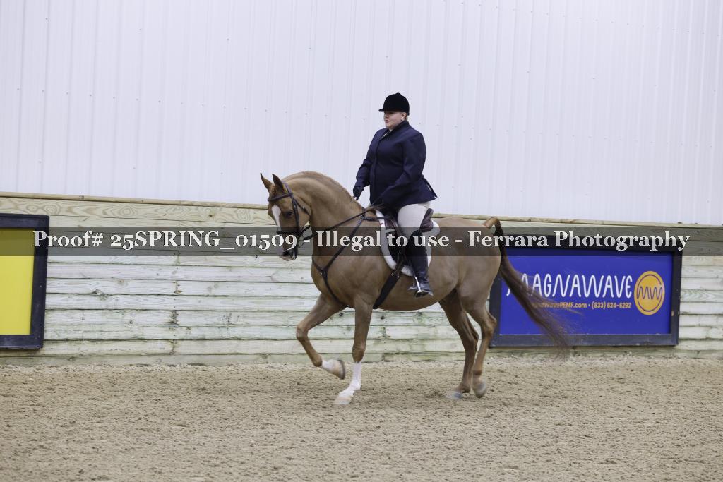 Proof 25SPRING_01509