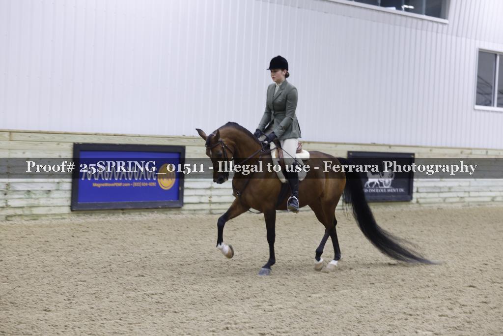 Proof 25SPRING_01511