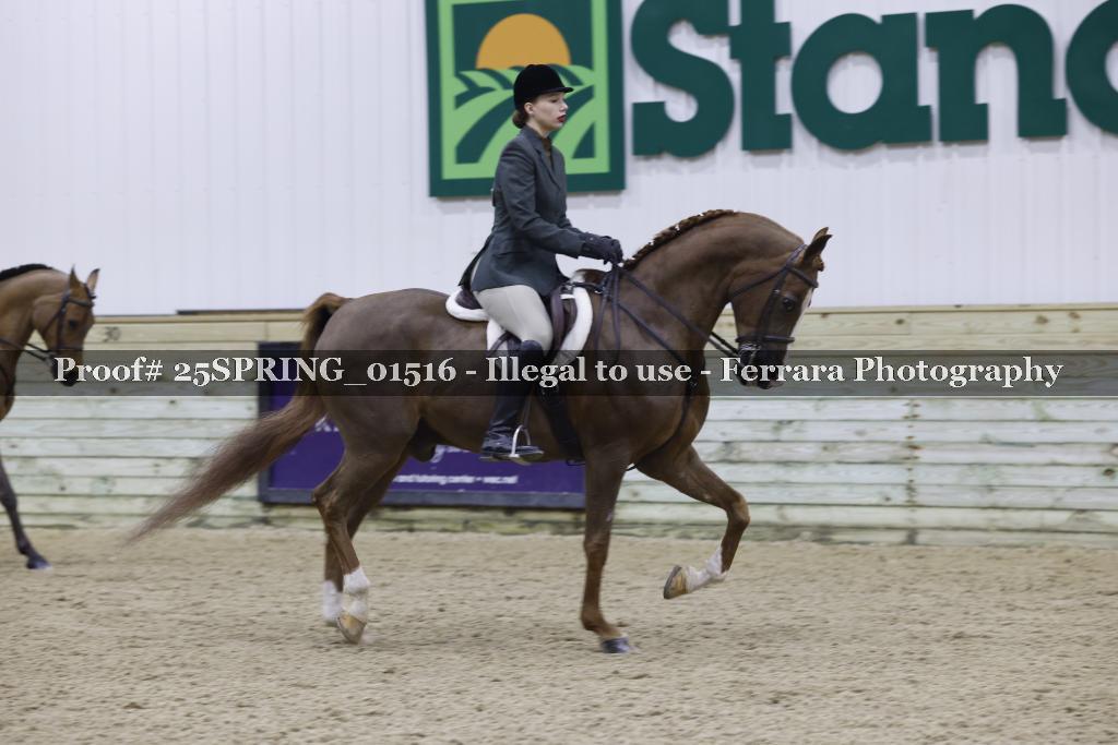 Proof 25SPRING_01516