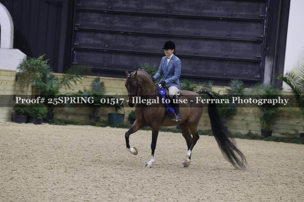 Proof 25SPRING_01517