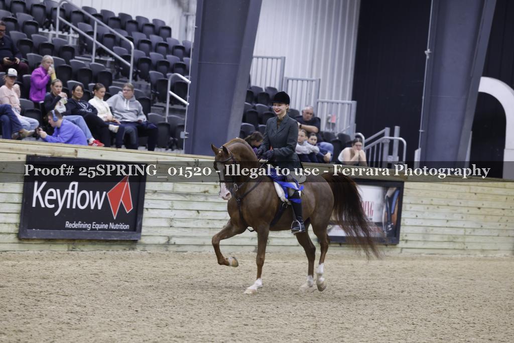 Proof 25SPRING_01520