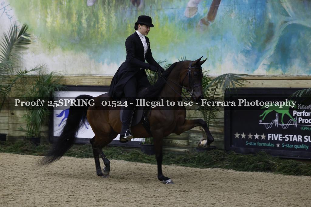 Proof 25SPRING_01524