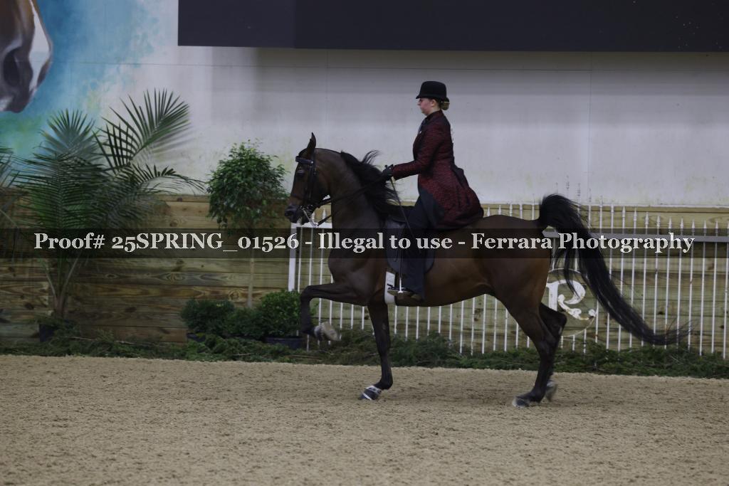 Proof 25SPRING_01526