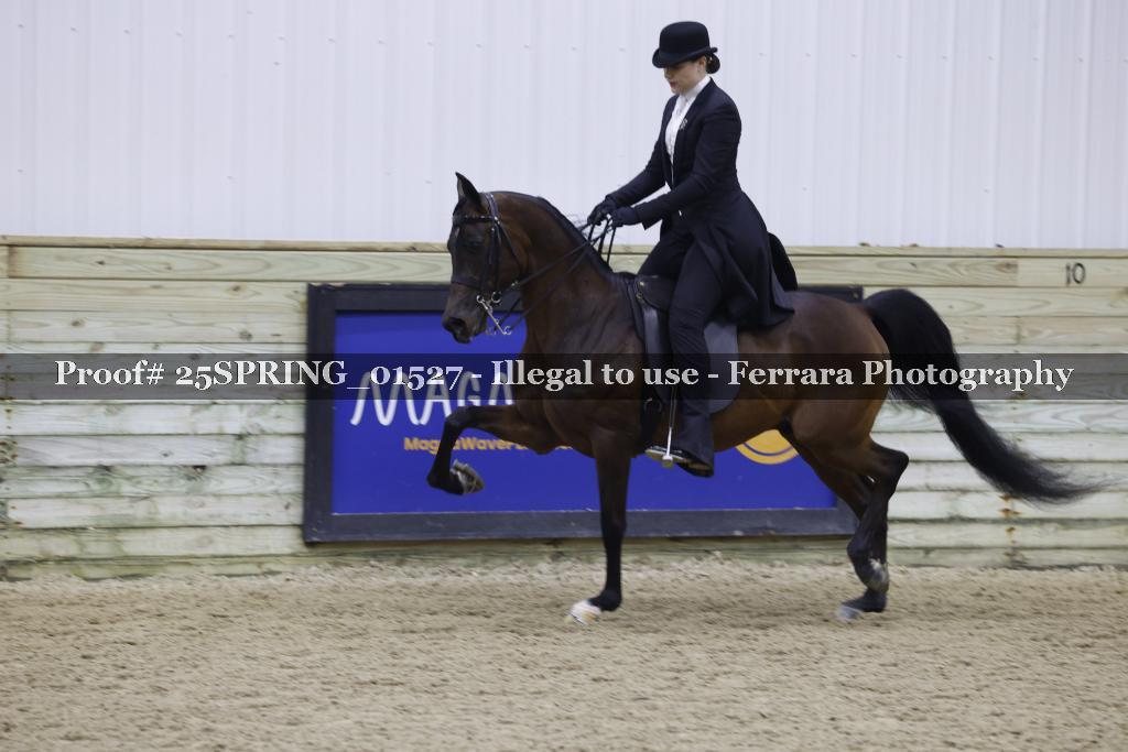 Proof 25SPRING_01527