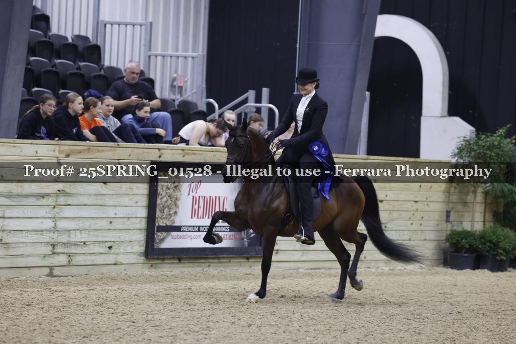 Proof 25SPRING_01528
