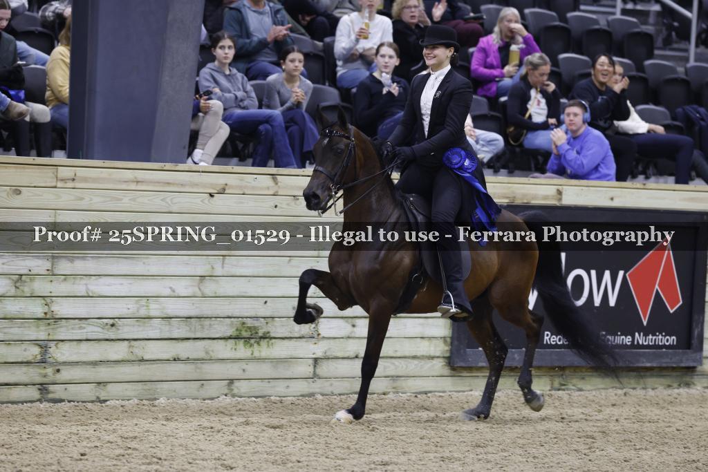Proof 25SPRING_01529